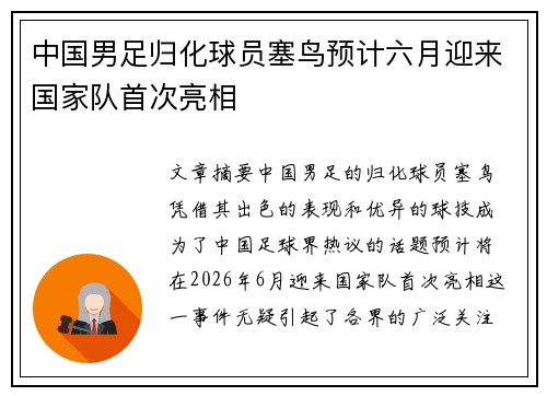 中国男足归化球员塞鸟预计六月迎来国家队首次亮相