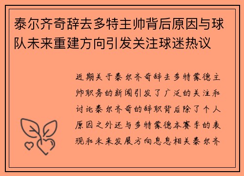 泰尔齐奇辞去多特主帅背后原因与球队未来重建方向引发关注球迷热议